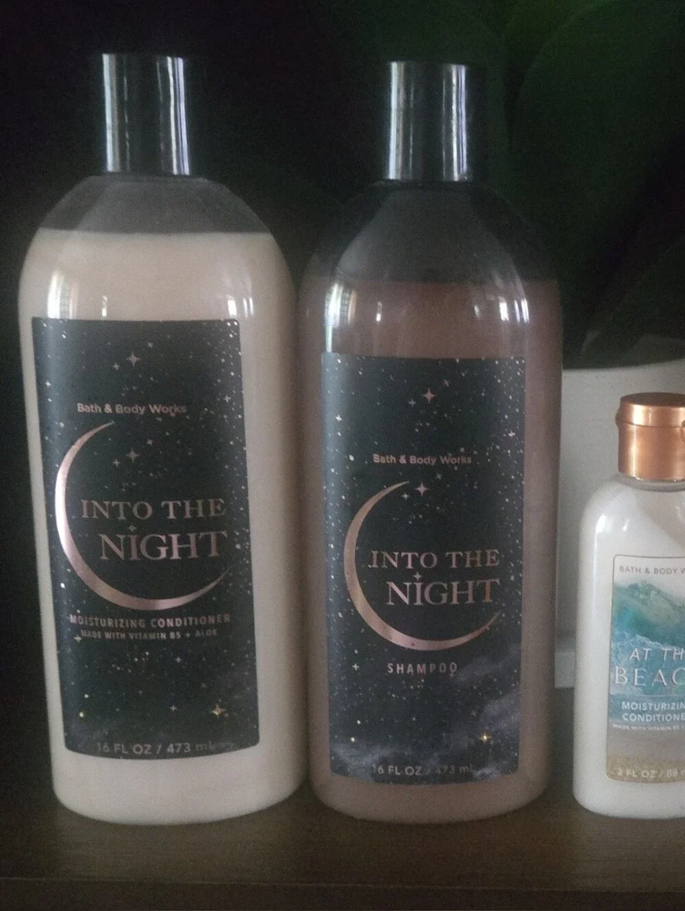 Shampoo and Conditioner -Into The Night & At The Beach
